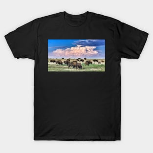 Colorado Bison Herd T-Shirt